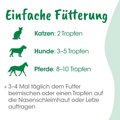 Bio-Bachblüten Angst Bio-Bachblüten Angst