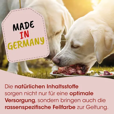 Fit-BARF Seealgenmehl Fit-BARF Seealgenmehl