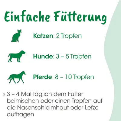 Bio-Bachblüten Quälgeist