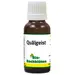 Bio-Bachblüten Quälgeist