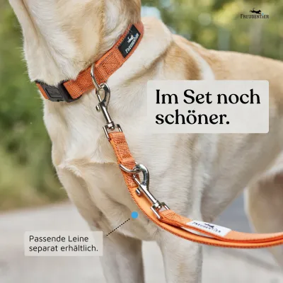 Freudentier Hundehalsband, leicht & gepolstert, Clyde Kollektion