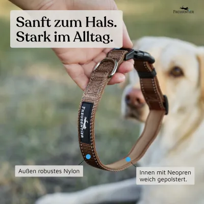 Freudentier Hundehalsband, leicht & gepolstert, Clyde Kollektion