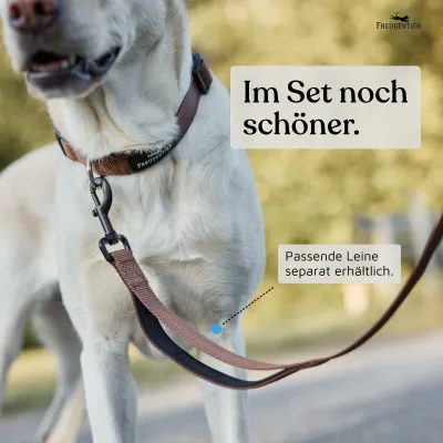 Freudentier Hundehalsband, leicht & gepolstert, Clyde Kollektion