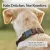 Freudentier Hundehalsband, leicht & gepolstert, Clyde Kollektion