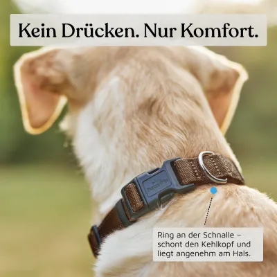 Freudentier Hundehalsband, leicht & gepolstert, Clyde Kollektion