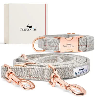 FREUDENTIER Hundehalsband & Hundeleine 2m im Set - Classic Kollektion