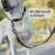 Freudentier Hundehalsband, leicht & gepolstert, Clyde Kollektion