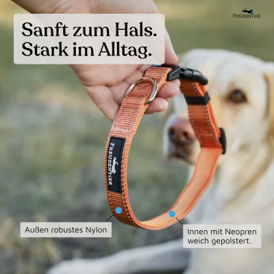 Freudentier Hundehalsband, leicht & gepolstert, Clyde Kollektion