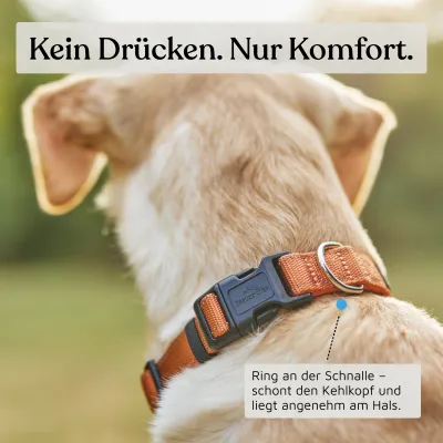 Freudentier Hundehalsband, leicht & gepolstert, Clyde Kollektion