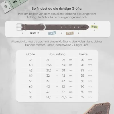 Freudentier Hundehalsband gepolstert aus Leder, Made in EU