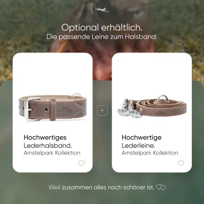 Freudentier Hundehalsband gepolstert aus Leder, Made in EU