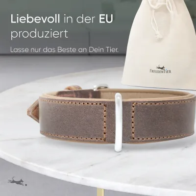 Freudentier Hundehalsband gepolstert aus Leder, Made in EU