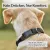 Freudentier Hundehalsband, leicht & gepolstert, Clyde Kollektion