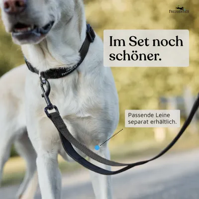 Freudentier Hundehalsband, leicht & gepolstert, Clyde Kollektion