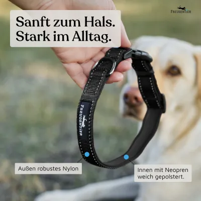 Freudentier Hundehalsband, leicht & gepolstert, Clyde Kollektion