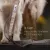 FREUDENTIER Hundehalsband & Hundeleine 2m im Set - Classic Kollektion