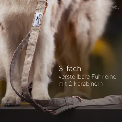 FREUDENTIER Hundehalsband & Hundeleine 2m im Set - Classic Kollektion