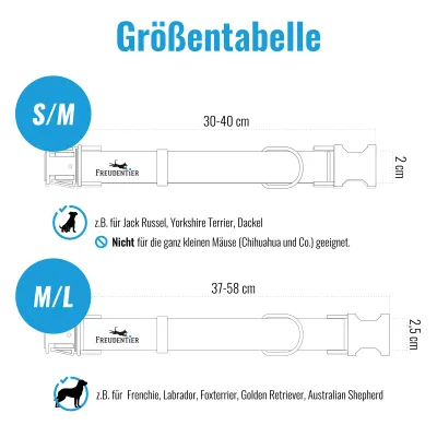 FREUDENTIER Hundehalsband & Hundeleine 2m im Set - Classic Kollektion