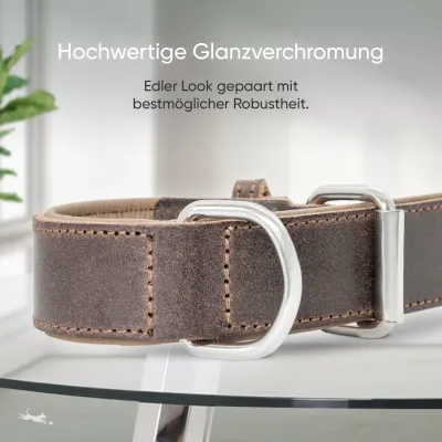 Freudentier Hundehalsband gepolstert aus Leder, Made in EU
