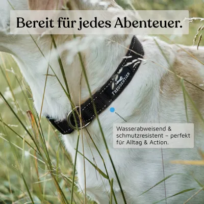 Freudentier Hundehalsband, leicht & gepolstert, Clyde Kollektion