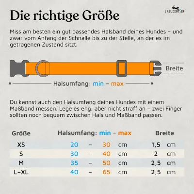 Freudentier Hundehalsband, leicht & gepolstert, Clyde Kollektion