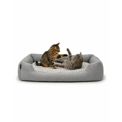lionto panier pour chat avec coussin réversible et entrée basse lionto panier pour chat avec coussin réversible et entrée basse