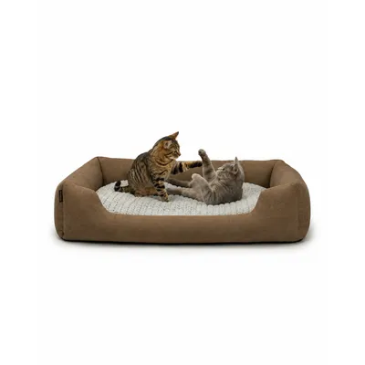 lionto panier pour chat avec coussin réversible et entrée basse lionto panier pour chat avec coussin réversible et entrée basse