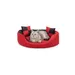 lionto 4-in-1 Katzenbett mit Wendekissen, strapazierfähiges Oxford-Gewebe