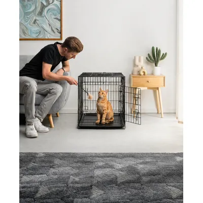 lionto faltbare Katzentransportbox aus Metall, herausnehmbare Bodenwanne