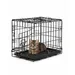lionto faltbare Katzentransportbox aus Metall, herausnehmbare Bodenwanne