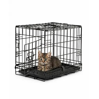 lionto faltbare Katzentransportbox aus Metall, herausnehmbare Bodenwanne