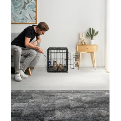 lionto faltbare Katzentransportbox aus Metall, herausnehmbare Bodenwanne