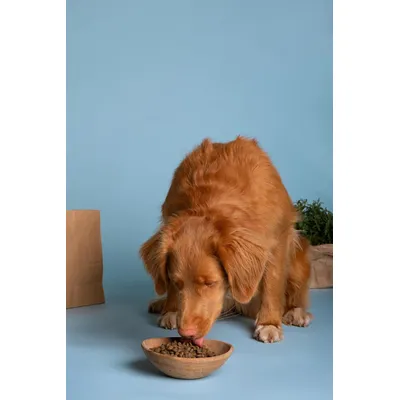 Canina Welpenmilch Canina Welpenmilch
