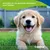Canina Welpenmilch Canina Welpenmilch