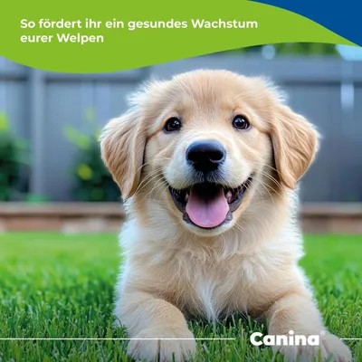 Canina Welpenmilch Canina Welpenmilch