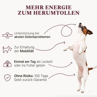 DOG1 Gelenktabletten für Hunde