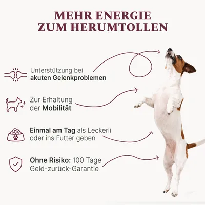 DOG1 Gelenktabletten für Hunde DOG1 Gelenktabletten für Hunde