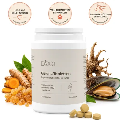 DOG1 Gelenktabletten für Hunde DOG1 Gelenktabletten für Hunde