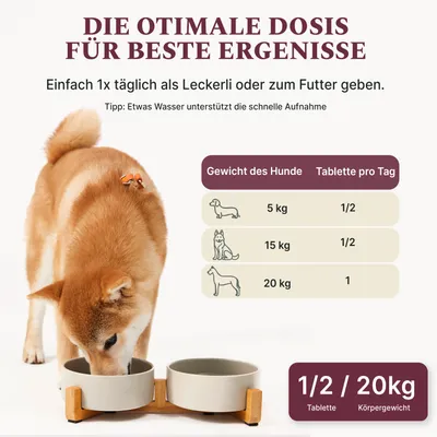 DOG1 Gelenktabletten für Hunde DOG1 Gelenktabletten für Hunde