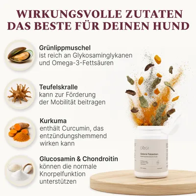 DOG1 Gelenktabletten für Hunde DOG1 Gelenktabletten für Hunde