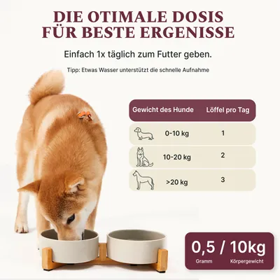 DOG1 Grünlippmuschelpulver Vollfett