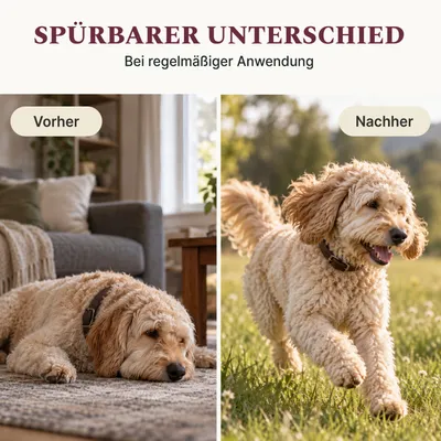 DOG1 Grünlippmuschelpulver Vollfett