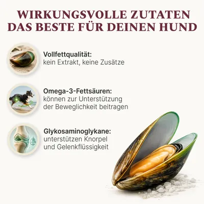 DOG1 Grünlippmuschelpulver Vollfett