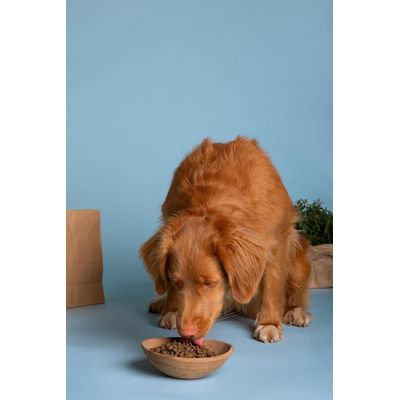 Canina Welpenmilch