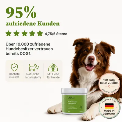 DOG1 Probiotisches Darmpulver für Hunde DOG1 Probiotisches Darmpulver für Hunde