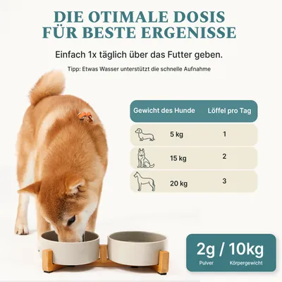 DOG1 Probiotisches Darmpulver für Hunde DOG1 Probiotisches Darmpulver für Hunde