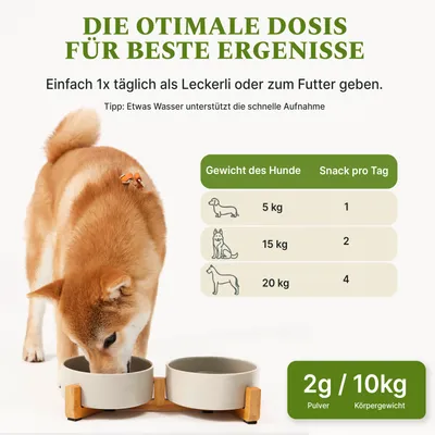 DOG1 Probiotisches Darmpulver für Hunde DOG1 Probiotisches Darmpulver für Hunde