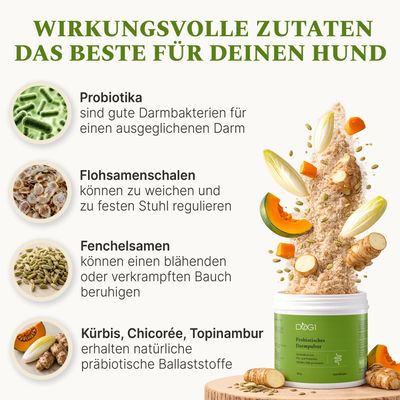 DOG1 Probiotisches Darmpulver für Hunde