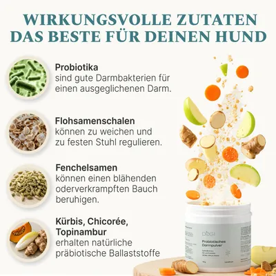 DOG1 Probiotisches Darmpulver für Hunde DOG1 Probiotisches Darmpulver für Hunde