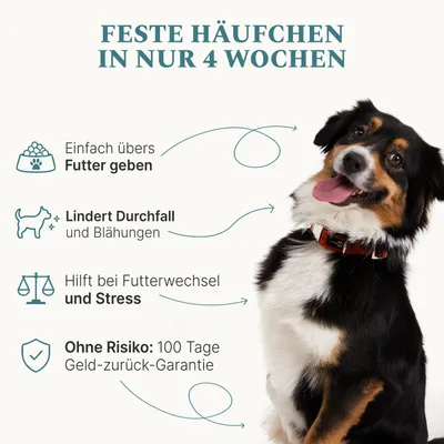 DOG1 Probiotisches Darmpulver für Hunde DOG1 Probiotisches Darmpulver für Hunde